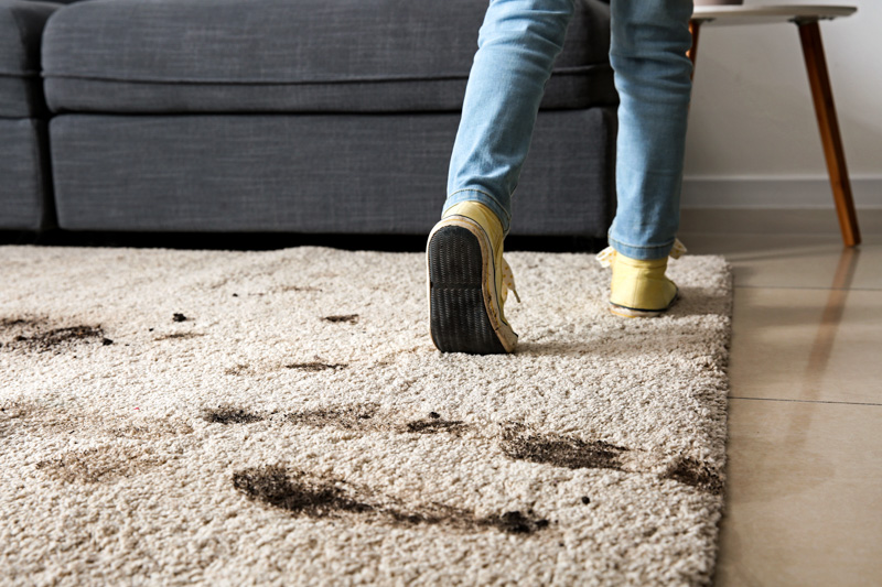 Spring Means Mud. Here's How to Protect Carpets